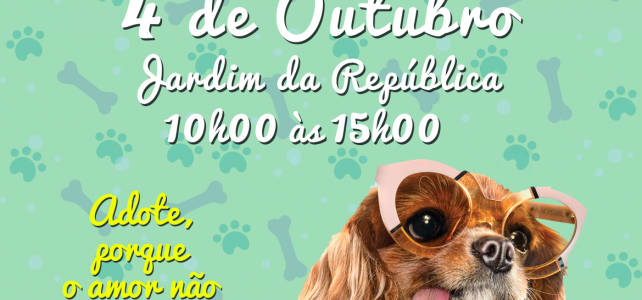 CAMPANHA DE ADOÇÃO ANIMAL