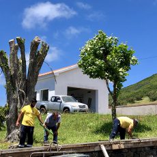 CONCLUSÃO DO NÚCLEO MUSEOLÓGICO “ROSAIS, CELEIRO DA ILHA”