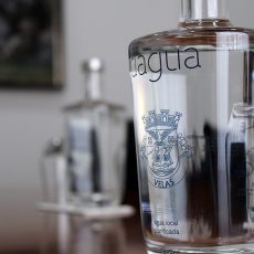 MUNICÍPIO INCENTIVO AO CONSUMO DE ÁGUA DA REDE PÚBLICA