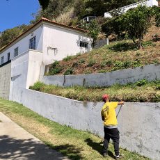 CONSERVAÇÃO DO DENOMINADO JARDIM BOTÂNIO