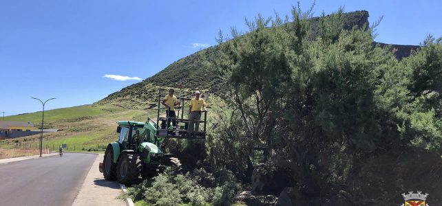MELHORAMENTO DOS ESPAÇOS VERDES EM ENTRE MORROS MELHORAMENTO DOS ESPAÇOS VERDES EM ENTRE MORROS
