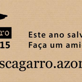 CAMPANHA SOS CAGARRO 2015