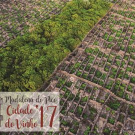 CIDADE DO VINHO 2017