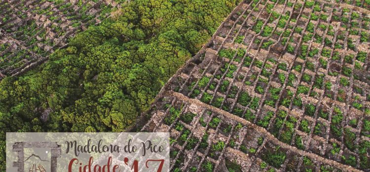CIDADE DO VINHO 2017