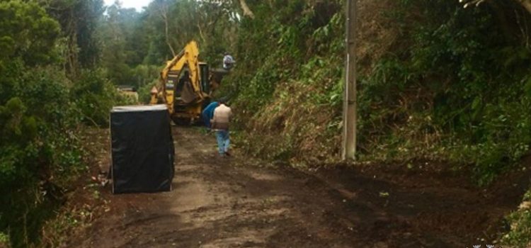 LIMPEZA DE BERMAS NO CAMINHO DE BAIXO EM SANTO ANTÓNIO