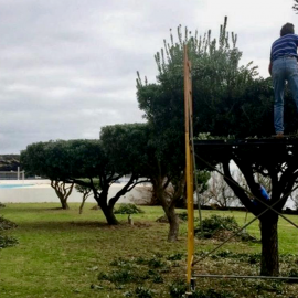 MUNICÍPIO APOIA JUNTA DE FREGUESIA DA URZELINA
