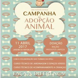 CAMPANHA DE ADOPÇÃO ANIMAL