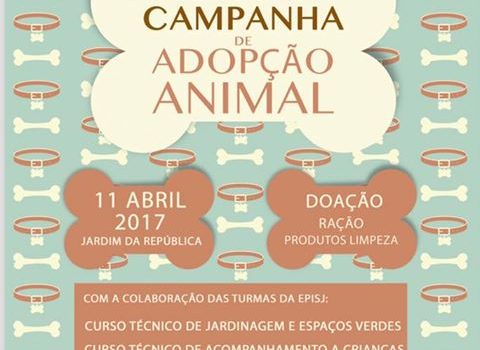 CAMPANHA DE ADOPÇÃO ANIMAL