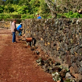 OBRAS DE MELHORAMENTO NA CANADA DO MAR NA FREGUESIA DA URZELINA