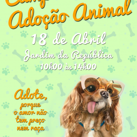 CAMPANHA DE ADOÇÃO ANIMAL