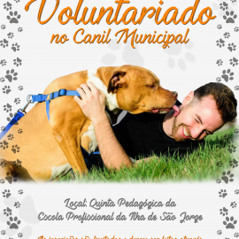 VOLUNTARIADO NO CANIL MUNICIPAL