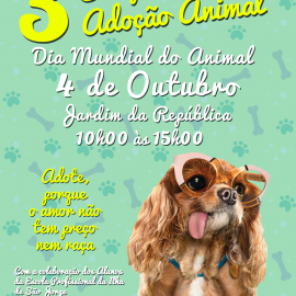 CAMPANHA DE ADOÇÃO ANIMAL