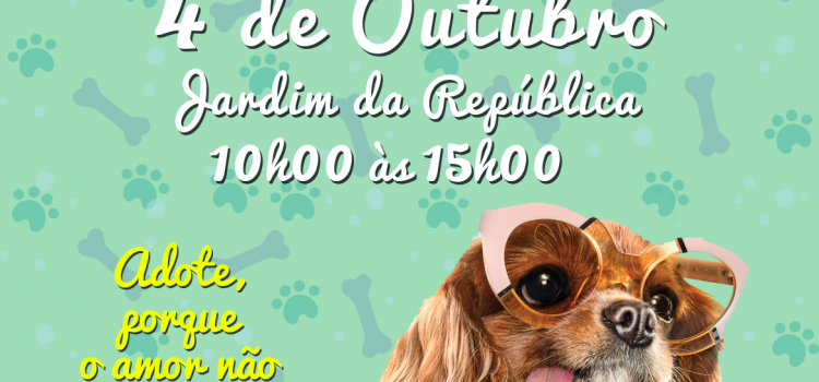 CAMPANHA DE ADOÇÃO ANIMAL