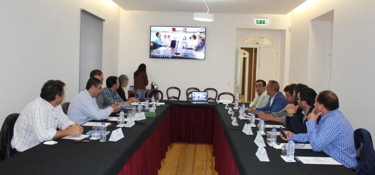 REVISÃO DO PLANO DIRETOR MUNICIPAL (PDM) DE VELAS