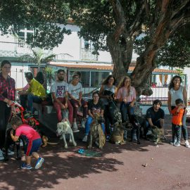 3ª CAMPANHA DE ADOÇÃO ANIMAL NO JARDIM DA REPÚBLICA