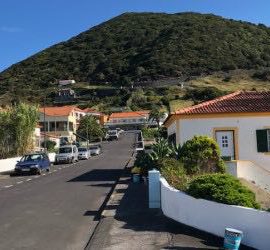 CONTINUAMOS A EMBELEZAR A NOSSA TERRA