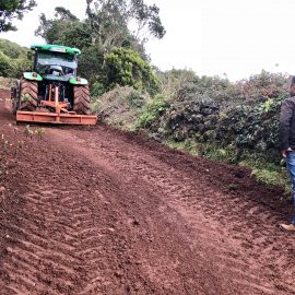 MANUTENÇÃO DE CAMINHOS AGRICOLAS MUNICIPAIS