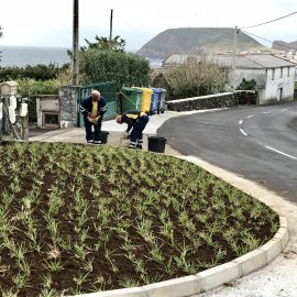 MUNICÍPIO COOPERA COM JUNTA FREGUESIA STº AMARO NA CRIAÇÃO DE ESPAÇOS VERDES