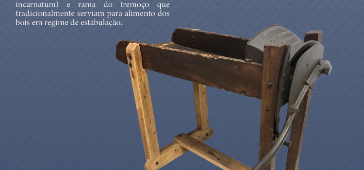 “A PEÇA DO MÊS” NA CASA MUSEU CUNHA DA SILVEIRA “A PEÇA DO MÊS” NA CASA MUSEU CUNHA DA SILVEIRA