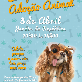CAMPANHA DE ADOÇÃO ANIMAL