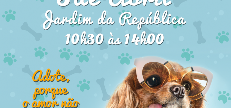 CAMPANHA DE ADOÇÃO ANIMAL