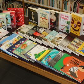 BIBLIOTECA MUNICIPAL DE VELAS ADQUIRE NOVOS LIVROS