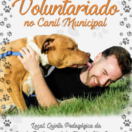 VOLUNTARIADO NO CANIL MUNICIPAL