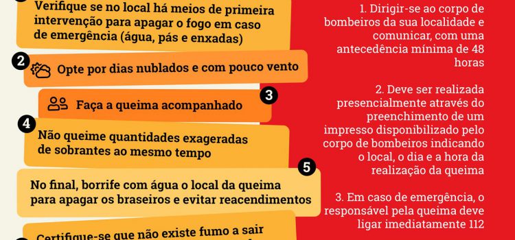 QUEIMA DE SOBRANTES VEGETAIS
