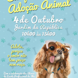 CAMPANHA DE ADOÇÃO ANIMAL