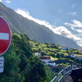 CONDICIONAMENTO AO TRÂNSITO NA FAJÃ DAS ALMAS