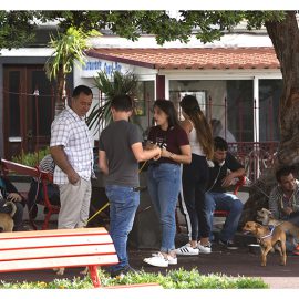 CAMPANHA DE ADOÇÃO ANIMAL NO JARDIM DA REPÚBLICA