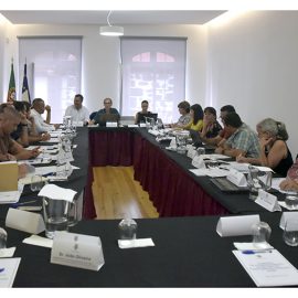 REVISÃO DO PLANO DIRETOR MUNICIPAL (PDM) DE VELAS