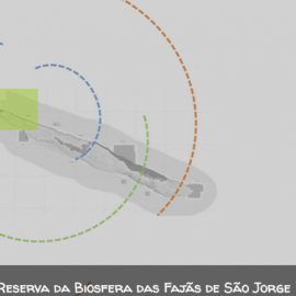 DISCUSSÃO PÚBLICA DOS PLANOS DE AÇÃO DAS RESERVAS DA BIOSFERA