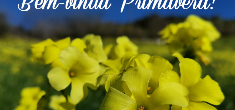 O MUNICÍPIO DESEJA UMA BOA PRIMAVERA A TODOS!
