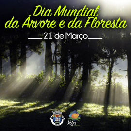 PROTEGER A FLORESTA, É PROTEGER A VIDA!