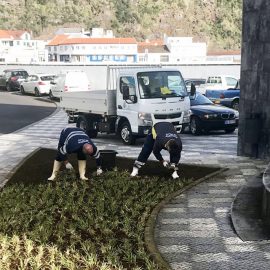 SERVIÇOS DE JARDINAGEM