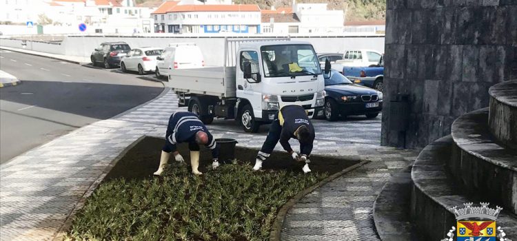 SERVIÇOS DE JARDINAGEM