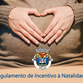 REGULAMENTO DE INCENTIVO À NATALIDADE DO MUNICÍPIO DE VELAS