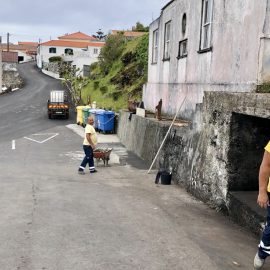 ARRANJOS DE EMBELEZAMENTO NA FREGUESIA DE SANTO AMARO