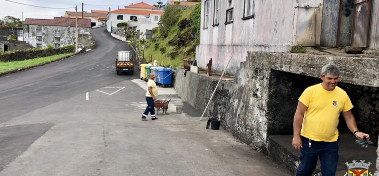 ARRANJOS DE EMBELEZAMENTO NA FREGUESIA DE SANTO AMARO