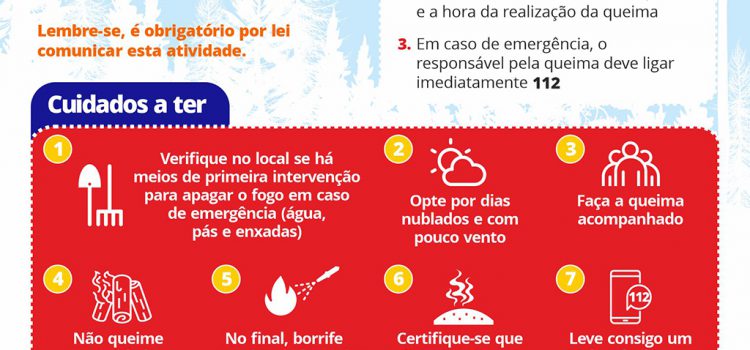 QUEIMA DE SOBRANTES VEGETAIS