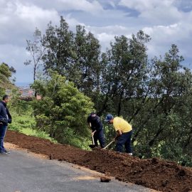 SERVIÇO DE JARDINAGEM