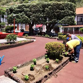 MANUTENÇÃO DO JARDIM DA REPÚBLICA