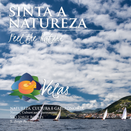VISITE A NOSSA TERRA!
