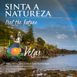 VISITE A NOSSA TERRA!