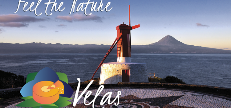 VISITE A NOSSA TERRA! VISITE A NOSSA TERRA!