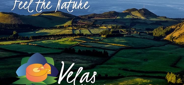 VISITE A NOSSA TERRA!