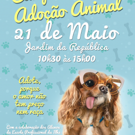CAMPANHA DE ADOÇÃO ANIMAL