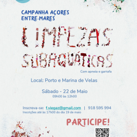 AÇÃO DE LIMPEZA SUBAQUÁTICA