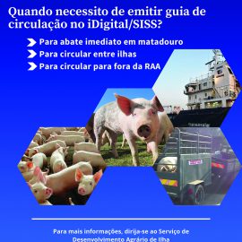 MOVIMENTAÇÃO DE SUÍNOS NA REGIÃO AUTÓNOMA DOS AÇORES